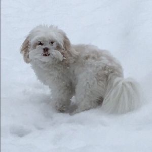 Meet your Posher, Arlene